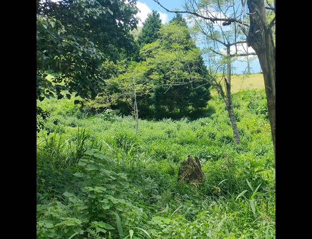 6,000M² VACANT LAND FOR SALE IN CLIFTON PARK
